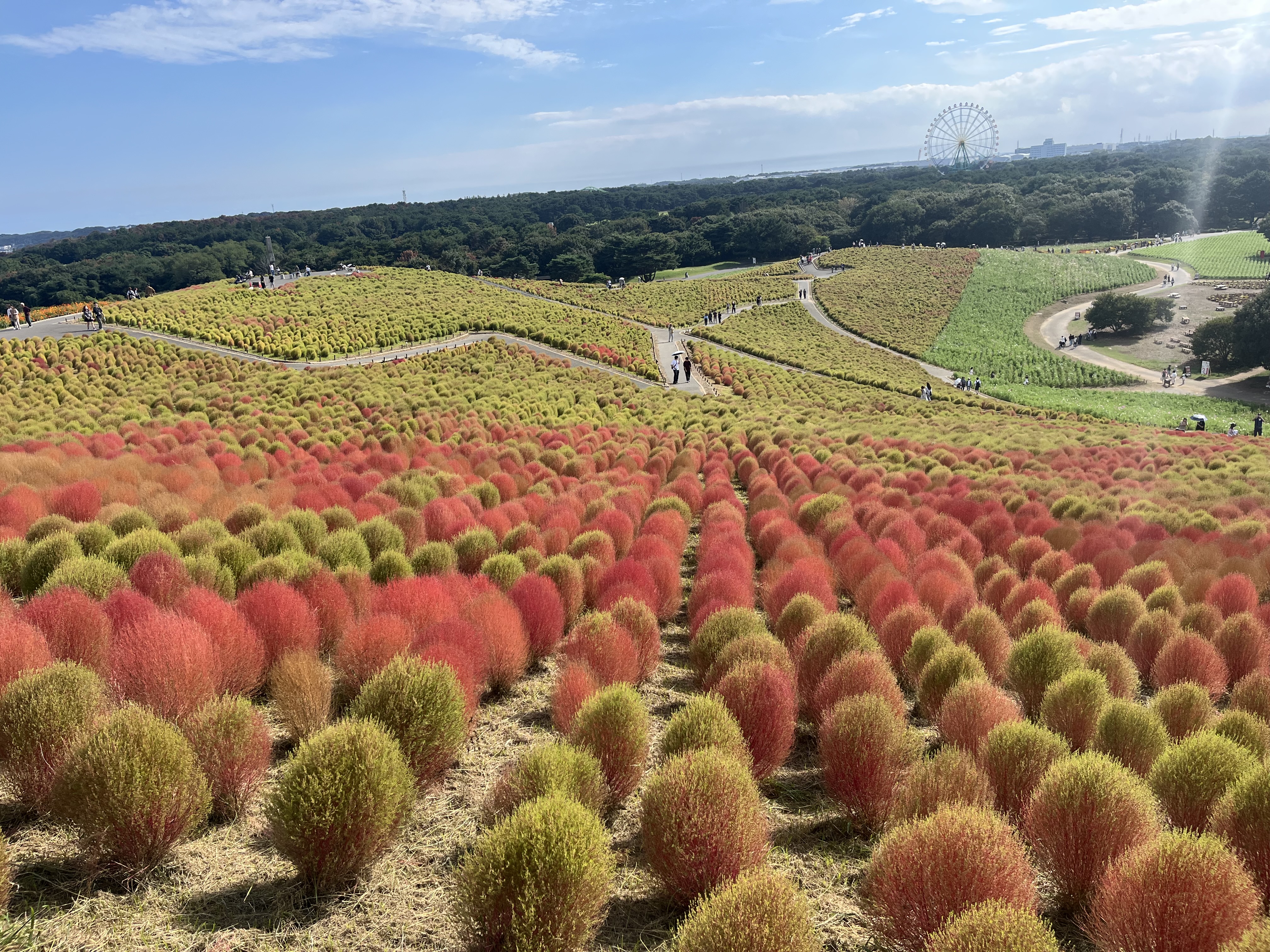 茨城大学 日立キャンパス